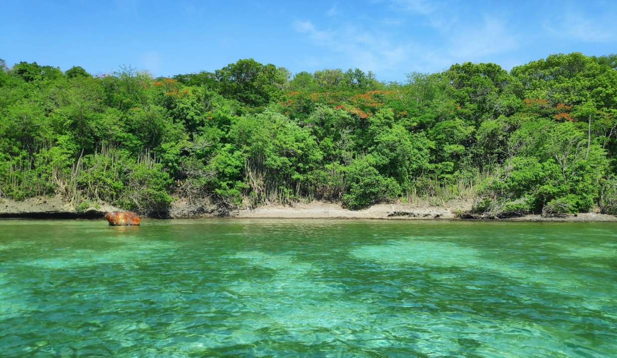 que faire en martinique