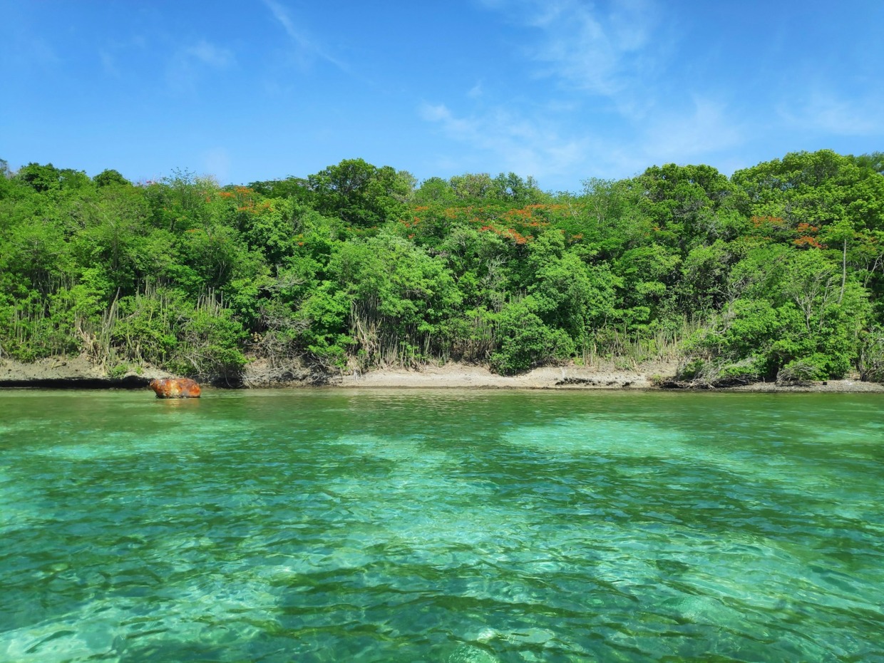 que faire en martinique